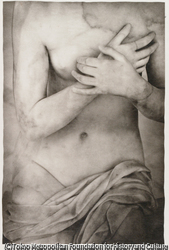 作品画像: