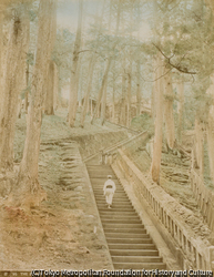 作品画像:日光 東照宮 奥社参道