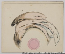 作品画像:円筒アナモルフォーズ