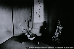作品画像: