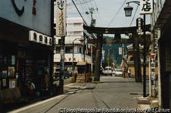 作品画像:三重県名張 2007. 5