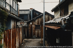 作品画像:和歌山県海南 2008. 6