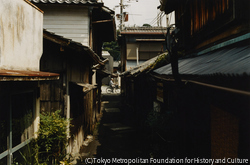 作品画像:和歌山県海南 2008. 6