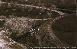 作品画像：馬車の通る田舎道