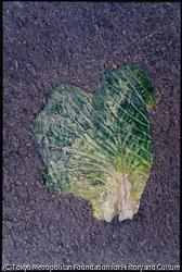 作品画像:原宿