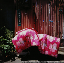 作品画像:平井