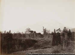 作品画像:富士山