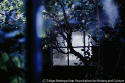 作品画像:ウナ 2004