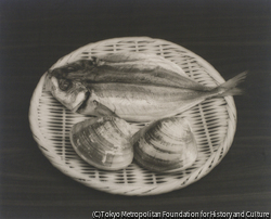 作品画像:貝と干魚