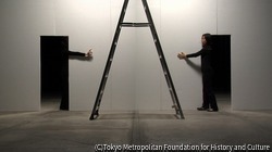 作品画像:破れのなかのできごと ~壁・部屋・箱~ (壁)