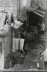 作品画像: