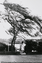 作品画像：下谷区上野公園不忍池（台東区）