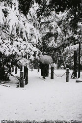 作品画像:(雪の日)