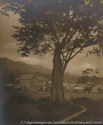 作品画像:夕暮