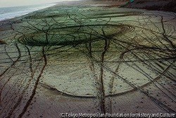 作品画像:螺旋海岸46