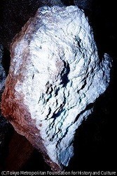 作品画像:26273
