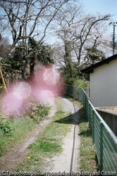 作品画像:いわき市、福島