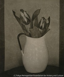 作品画像:(静物)