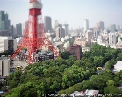 作品画像:東京タワー 東京 日本 2005