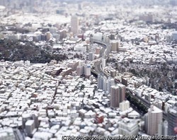 作品画像：東京 日本 2006