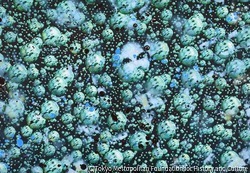 作品画像:発熱するイメージ=白虎社