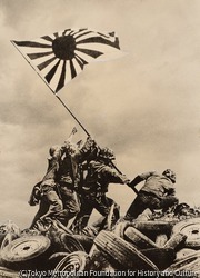 作品画像:ショー・ザ・フラッグ