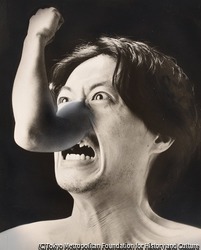 作品画像:(メタモルフォーゼ)