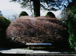 作品画像:強羅公園、箱根