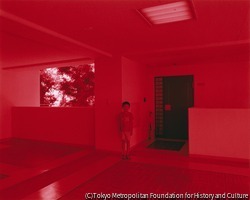 作品画像: