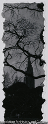 作品画像: