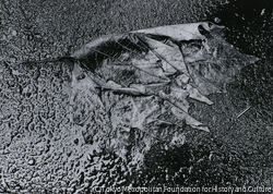 作品画像: