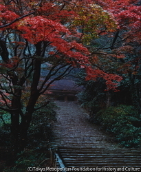 作品画像:室生寺秋景