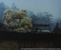 作品画像:東大寺 二月堂 裏参道付近