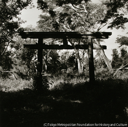 作品画像:南洋興発会社・神社の鳥居