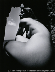 作品画像: