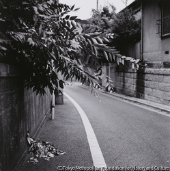 作品画像:東京・根津