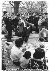 作品画像:見るも踊るも共に楽しいお花見