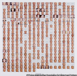 作品画像:2006