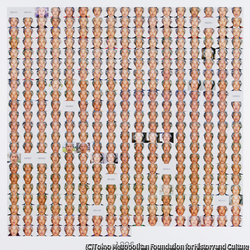 作品画像:1996