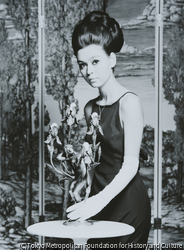 作品画像:MAX FACTOR 入江美樹 2