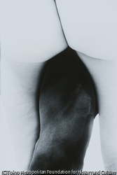 作品画像:作品44