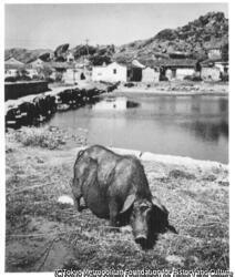 作品画像:3. 肥大した戦敗記念物