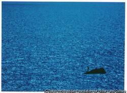作品画像:一人だけの海