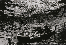 作品画像:(6) 井の頭公園
