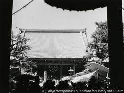 作品画像:浅草寺本堂
