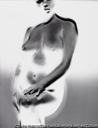 作品画像:#17