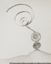 作品画像:A CREATION