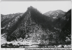 作品画像:峠