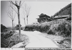 作品画像:田舎道