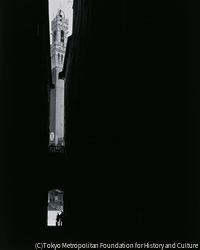 作品画像:シェナ, 1984